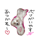 愛犬ゲンキ（個別スタンプ：7）