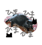 どうぶつえん♪（個別スタンプ：18）