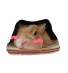どうぶつえん♪（個別スタンプ：19）