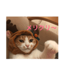 えふぁにゃん（個別スタンプ：2）