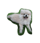 love dugdog（個別スタンプ：3）