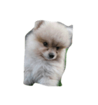 love dugdog（個別スタンプ：4）