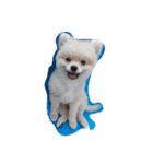 love dugdog（個別スタンプ：6）