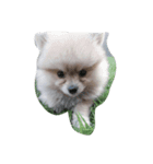 love dugdog（個別スタンプ：7）