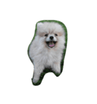 love dugdog（個別スタンプ：8）