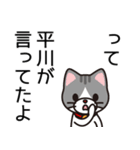 平川さんと平川さんの友達専用（個別スタンプ：40）