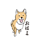愛しの柴犬（個別スタンプ：1）