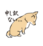 愛しの柴犬（個別スタンプ：3）