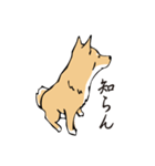 愛しの柴犬（個別スタンプ：5）