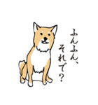 愛しの柴犬（個別スタンプ：6）