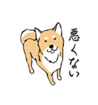 愛しの柴犬（個別スタンプ：7）