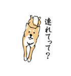 愛しの柴犬（個別スタンプ：8）