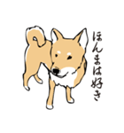 愛しの柴犬（個別スタンプ：9）