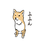 愛しの柴犬（個別スタンプ：10）