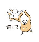 愛しの柴犬（個別スタンプ：11）