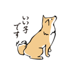愛しの柴犬（個別スタンプ：12）