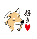 愛しの柴犬（個別スタンプ：13）