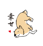 愛しの柴犬（個別スタンプ：14）