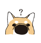 愛しの柴犬（個別スタンプ：16）
