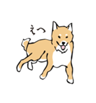 愛しの柴犬（個別スタンプ：17）