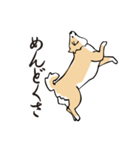 愛しの柴犬（個別スタンプ：20）