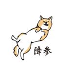 愛しの柴犬（個別スタンプ：21）