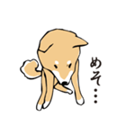 愛しの柴犬（個別スタンプ：26）