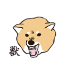 愛しの柴犬（個別スタンプ：28）
