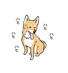 愛しの柴犬（個別スタンプ：32）
