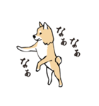 愛しの柴犬（個別スタンプ：37）
