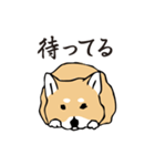 愛しの柴犬（個別スタンプ：38）