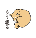 愛しの柴犬（個別スタンプ：40）