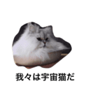 uni and bubu（個別スタンプ：2）