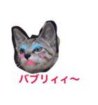 uni and bubu（個別スタンプ：3）