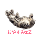 uni and bubu（個別スタンプ：4）
