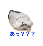 uni and bubu（個別スタンプ：7）