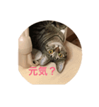 ポシェ君とうみちゃんのスタンプ（個別スタンプ：1）