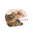 ポシェ君とうみちゃんのスタンプ（個別スタンプ：3）