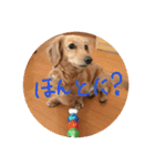 ポシェ君とうみちゃんのスタンプ（個別スタンプ：4）