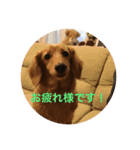 ポシェ君とうみちゃんのスタンプ（個別スタンプ：12）