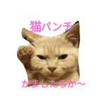 Japanese  crazy  family（個別スタンプ：1）