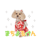 ぴかちゃんが幡多弁でごあいさつ（個別スタンプ：3）
