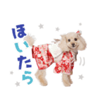 ぴかちゃんが幡多弁でごあいさつ（個別スタンプ：5）