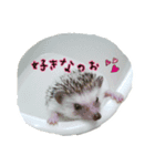 ハリ学スクールライフ（個別スタンプ：2）