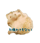 ハリ学スクールライフ（個別スタンプ：3）