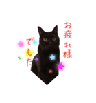 黒猫くまごろう4（個別スタンプ：1）