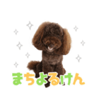 風太くんが幡多弁でごあいさつ（個別スタンプ：3）