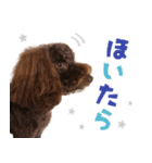 風太くんが幡多弁でごあいさつ（個別スタンプ：5）