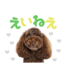 風太くんが幡多弁でごあいさつ（個別スタンプ：7）