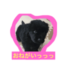 i am kai..（個別スタンプ：1）